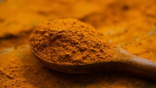 Purse Vastu Tips: പഴ്സിൽ പണം എന്നും നിറഞ്ഞിരിക്കും! ഇവ സൂക്ഷിച്ചാൽ മതി