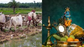 ചാൽ കീറൽ മുതൽ വിഷുപ്പൊതി വരെ... ഇത് കർഷകന്റെ സ്വന്തം ഉത്സവം...