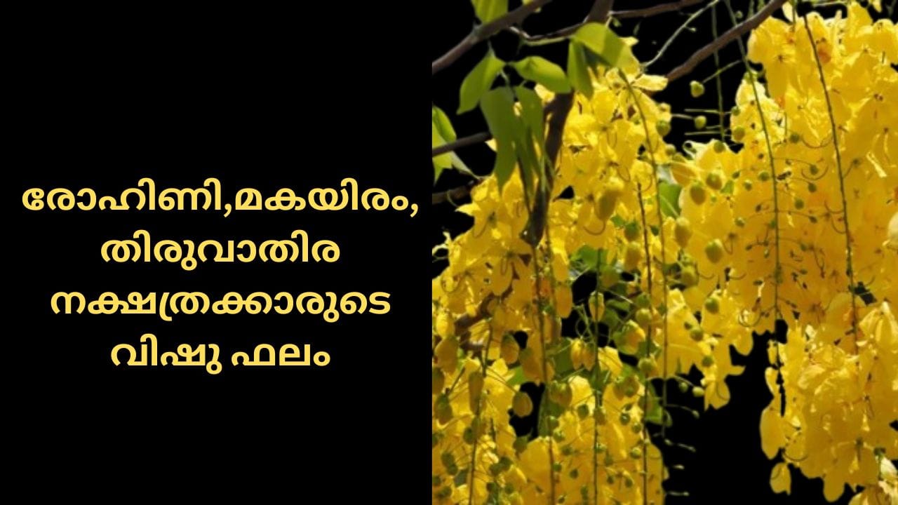 രോഹിണി: പല കാര്യങ്ങളിലും ഭാഗ്യം നിങ്ങളെ കടാക്ഷിക്കും. ജീവിതത്തിൽ അനുഭവപ്പെട്ട തടസ്സങ്ങൾ എല്ലാം നീങ്ങും. എല്ലാ കാര്യങ്ങളും വിജയത്തിൽ എത്താൻ സാധിക്കും.
മകയിരം: ജോലിസ്ഥലത്ത് എന്ത് ചെയ്യുമ്പോഴും വളരെയധികം ശ്രദ്ധ വേണം. സാമ്പത്തിക ഇടപാടുകൾ നടത്തുമ്പോൾ സൂക്ഷിക്കുക. പൊതുവിൽ നല്ല വർഷമായിരിക്കും.
തിരുവാതിര: സാമ്പത്തിക നേട്ടങ്ങൾ പ്രതീക്ഷിക്കാവുന്ന വർഷമാണ്. എന്നിരുന്നാലും ചെയ്യുന്ന കാര്യങ്ങൾ വളരെ ശ്രദ്ധാപൂർവ്വം മാത്രം പൂർത്തിയാക്കുക.(PHOTO: GETTY IMAGES)