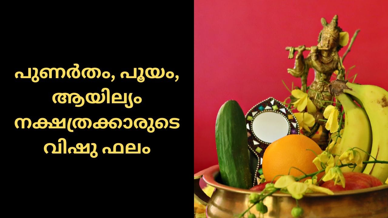 പുണർതം: പുതിയ വീടോ വാഹനമോ സ്വന്തമാക്കാൻ സാധ്യത. പുതിയ കാര്യങ്ങൾക്ക് അനുകൂലമായ വർഷം. കുടുംബത്തിലും സമാധാനം.
പൂയം: മത്സര പരീക്ഷകളിൽ വിജയിക്കാൻ സാധ്യത. അപ്പ ജീവിതത്തിൽ പുതിയ വഴികളും സാധ്യതകളും തുറന്നുവരും. ക്ഷമയോടെ ചിന്തിച്ചു കാര്യങ്ങൾ ചെയ്യുക.
ആയില്യം: പ്രശസ്തിയും അംഗീകാരവും വർദ്ധിക്കും. പുതിയ സംരംഭങ്ങളിൽ നിന്നും ലാഭം കൊയ്യാൻ സാധിക്കുന്ന വർഷം.(PHOTO: GETTY IMAGES)