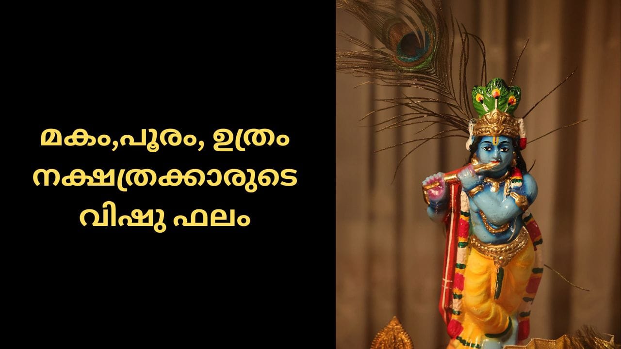 മകം: മാതാപിതാക്കളുടെ ആരോഗ്യത്തിന് നല്ല ശ്രദ്ധ നൽകുക. എന്ത് കാര്യം ചെയ്യുമ്പോഴും ക്ഷമയോടെ ചിന്തിച്ചു മാത്രം പൂർത്തിയാക്കുക.
പൂരം: കലാരംഗത്ത് പ്രവർത്തിക്കുന്നവർക്ക് നേട്ടം. ദാമ്പത്യ ജീവിതത്തിൽ സന്തോഷവും സമാധാനവും ഉണ്ടാകും. പുതിയ കാര്യങ്ങൾ തുടങ്ങാൻ മികച്ച വർഷം.
ഉത്രം: ജോലിയിൽ സ്ഥാനക്കായത്തത്തിനും പുരോഗതിക്കും സാധ്യത. ക്ഷമയോടെ കാര്യങ്ങൾ ചെയ്തു പൂർത്തിയാക്കുക.(PHOTO: GETTY IMAGES)