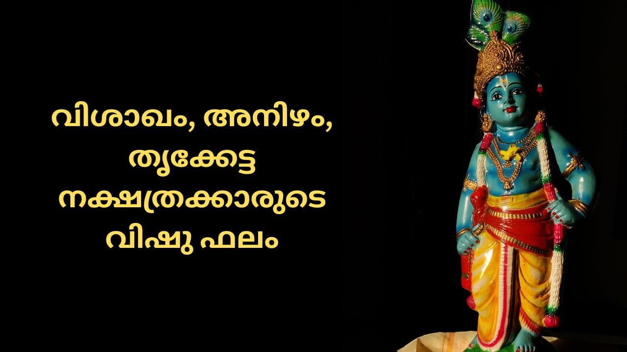 വിശാഖം: മറ്റുള്ളവർക്ക് വാഗ്ദാനങ്ങൾ നൽകുമ്പോൾ സൂക്ഷിക്കുക. സാമ്പത്തികമായി ജാഗ്രത വേണ്ടവർഷം. ബിസിനസ് രംഗത്തെ ശ്രദ്ധാപൂർവ്വമായ നീക്കങ്ങൾ ആവശ്യമാണ്.
അനിഴം : ആത്മവിശ്വാസം വർദ്ധിക്കും, കാര്യവിജയം ഉണ്ടാകും. വർഷങ്ങളായുള്ള നിങ്ങളുടെ ജീവിതത്തിലെ തടസ്സങ്ങളെല്ലാം നീങ്ങാനും സാധ്യത.
തൃക്കേട്ട: ആരോഗ്യകാര്യത്തിൽ നല്ല ജാഗ്രത പാലിക്കുക. സാമ്പത്തികമായി നേട്ടങ്ങൾ കൊയ്യാൻ സാധ്യതയുള്ള വർഷം.(PHOTO: GETTY IMAGES)