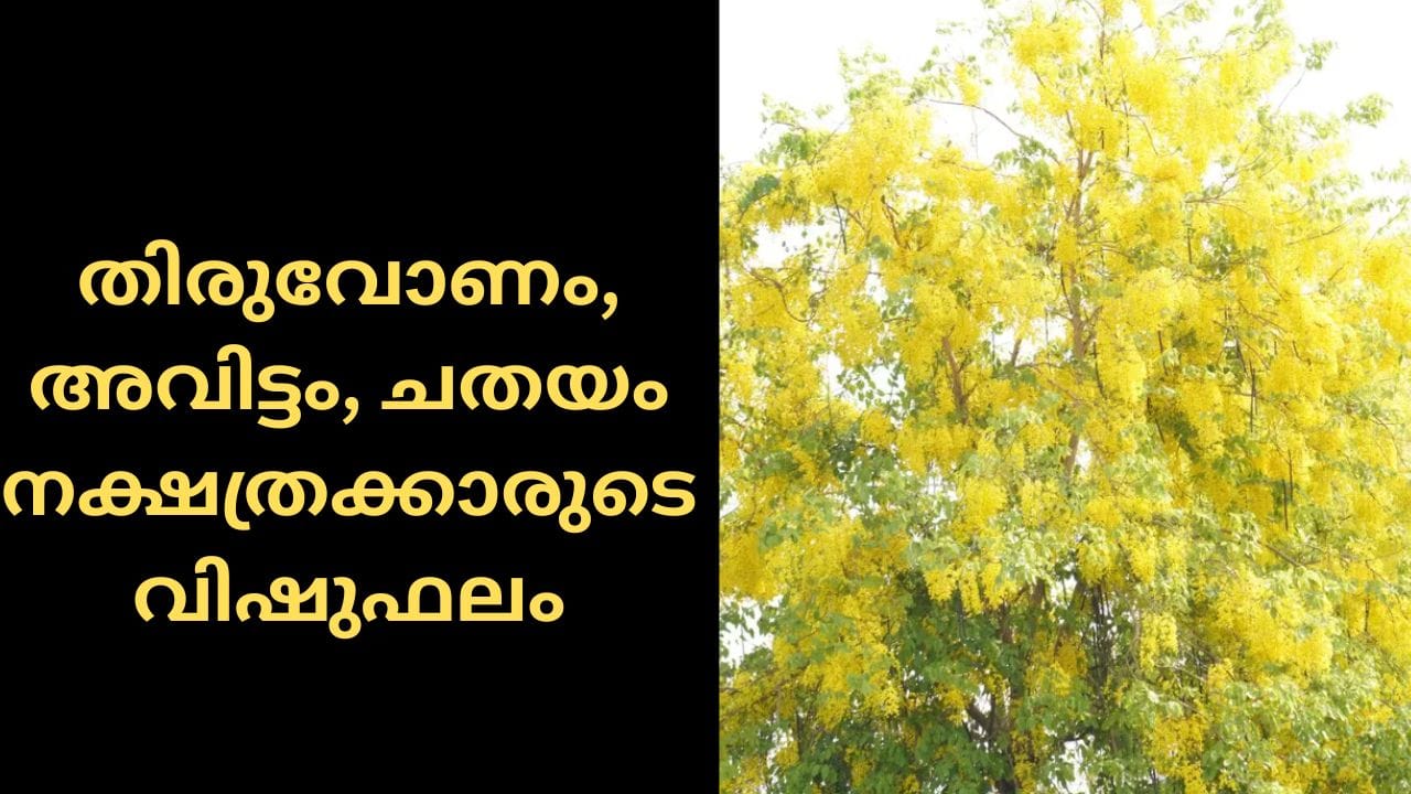 തിരുവോണം: വിവിധ മേഖലകളിൽ ജോലി ചെയ്യുന്നവരെ സംബന്ധിച്ച് ഉത്തമമായ വർഷം. ക്ഷമയോടെ ആത്മവിശ്വാസത്തോടെ ഓരോ കാര്യങ്ങളും പൂർത്തിയാക്കുക.
അവിട്ടം: വീട് നവീകരിക്കാനും പുതിയ വീട് വാങ്ങാനും ഇഷ്ടമുള്ള മറ്റു കാര്യങ്ങൾ സ്വന്തമാക്കാനും സാധിക്കുന്ന ഒരു വർഷം. എന്നിരുന്നാലും പണം ഇടപാടുകൾ നടത്തുമ്പോൾ സൂക്ഷിക്കുക.
ചതയം: മത്സരപരീക്ഷകളിലും അഭിമുഖങ്ങളിലും മികച്ച വിജയം നേടാൻ സാധ്യത. സാമ്പത്തിക സ്ഥിരത കൈവരിക്കാനും സാധ്യത.(PHOTO: GETTY IMAGES)