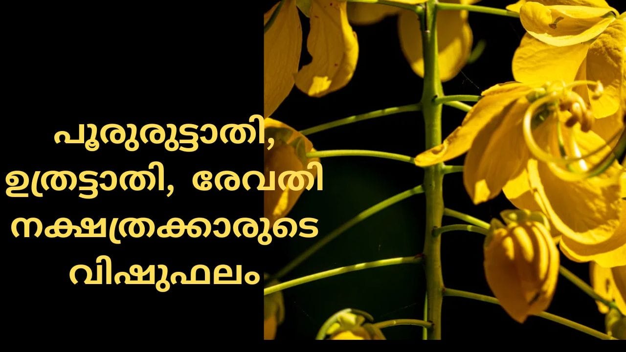 പൂരുരുട്ടാതി: പാരമ്പര്യമായുള്ള നിങ്ങളുടെ സ്വത്തുക്കൾ കൈവശം വന്നുചേരാൻ സാധ്യത. നിയമപരമായ പല പ്രശ്നങ്ങളിൽ നിന്നും നിങ്ങൾക്ക് അനുകൂല വിധി ഉണ്ടാകും.
ഉത്രട്ടാതി: ആലോചിക്കാതെ പെട്ടെന്ന് തീരുമാനങ്ങൾ എടുക്കരുത്. നിങ്ങളുടെ തീരുമാനങ്ങൾ നിങ്ങൾക്ക് പ്രശ്നങ്ങൾ ഉണ്ടാക്കാൻ സാധ്യത. ക്ഷമയോടെ ചിന്തിച്ച കാര്യങ്ങൾ ചെയ്യുക.
രേവതി: അപ്രതീക്ഷിതമായ സാമ്പത്തിക നേട്ടത്തിന് സാധ്യത. പുതിയ ബിസിനസ് തുടങ്ങുവാനും പുതിയ പല കാര്യങ്ങൾ ആരംഭിക്കുവാനും മികച്ച വർഷം. ( ശ്രദ്ധിക്കുക: ഇവിടെ നൽകിയിരിക്കുന്നത് പൊതുവായ ഫലങ്ങളുടെ അടിസ്ഥാനത്തിലാണ്. TV9 മലയാളം ഇവ സ്ഥിരീകരിക്കുന്നില്ല)(PHOTO: GETTY IMAGES)