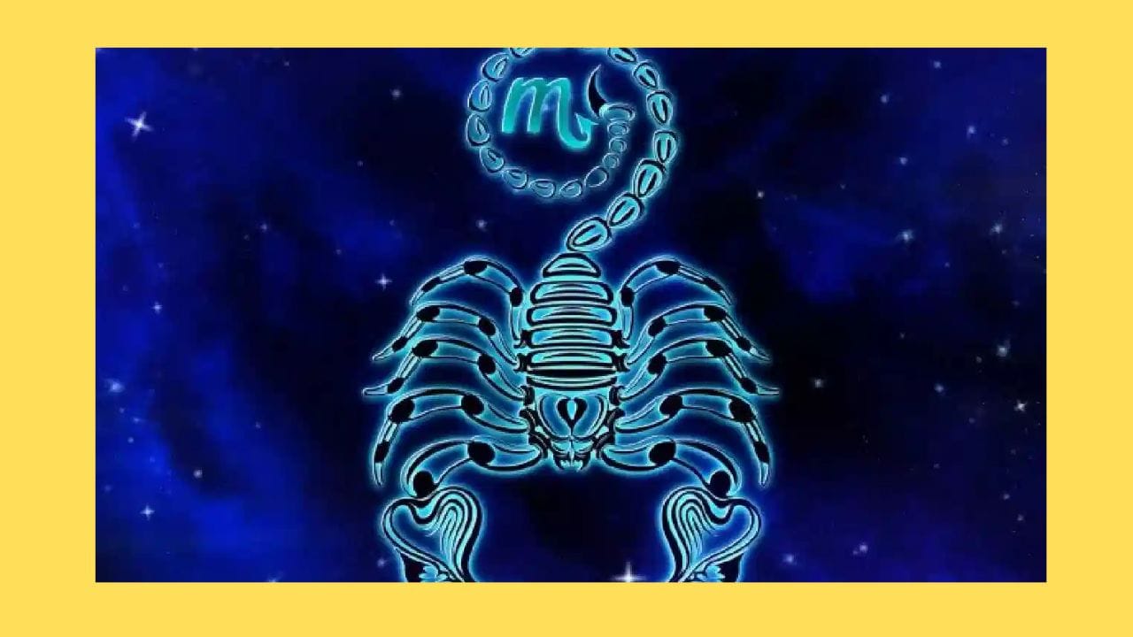  വൃശ്ചികം: വൃശ്ചികം രാശിക്കാർക്ക് ഈ സമയത്ത് സ്ഥിരതയും സന്തോഷവും സമാധാനവും അനുഭവപ്പെടാൻ സാധ്യത. സാമ്പത്തിക നേട്ടങ്ങൾ ഉണ്ടായേക്കാം. പുതിയ ബിസിനസ് അല്ലെങ്കിൽ സ്റ്റാർട്ടപ്പ് ആരംഭിക്കാൻ ആഗ്രഹിക്കുന്നവർക്ക് ഇത് മികച്ച സമയം. എല്ലാ കാര്യങ്ങളും ഈ സമയത്ത് അനുകൂലമായി വരും.(PHOTO: TV9 NETWORK)