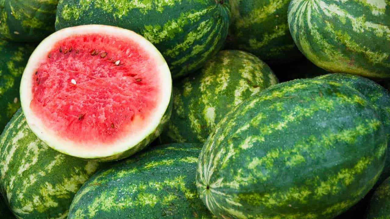 Water Melon: തണ്ണിമത്തൻ ചൂടത്ത് ബെസ്റ്റാ, പക്ഷേ കഴിക്കേണ്ടത് എപ്പോൾ, രാവിലെയോ രാത്രിയോ?