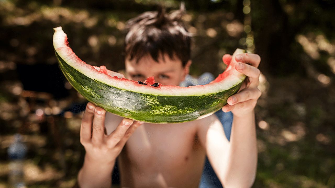 ചെറിയ കഷ്ണങ്ങളായി നുറുക്കി സാലഡുകളിലും ചേർക്കാവുന്നതാണ്. ഈ തൊലിയിൽ സിട്രുലിൻ എന്ന അമിനോ ആസിഡും നാരുകളും ധാരാളം അടങ്ങിയിട്ടുണ്ട്. (Image Credit: Getty Images)