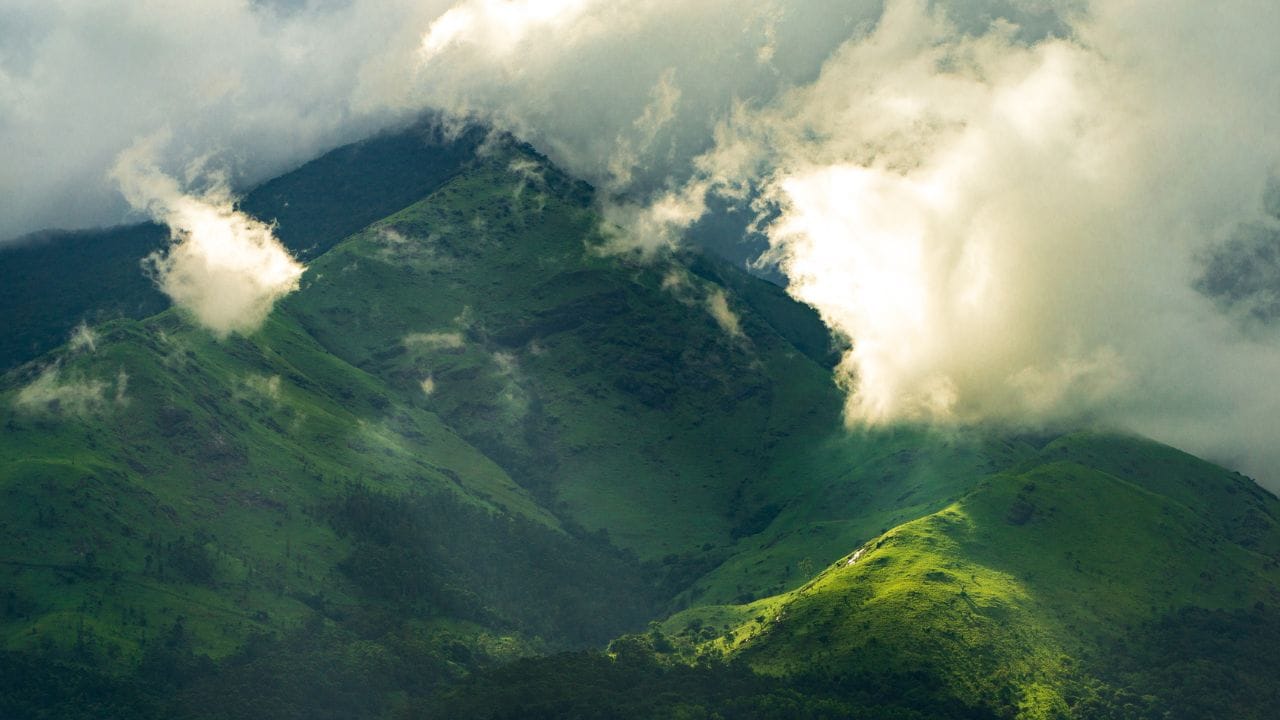 സുല്‍ത്താന്‍ ബത്തേരിക്ക് സമീപമുള്ള പ്രദേശമാണ് കൊളഗപ്പാറ. ആനയുടെ ആകൃതിയിലുള്ള പാറയാണിത്. രാവിലെയും വൈകുന്നേരവും ഹൈക്കിങ് നടത്താം. ഇതിന് മുകളിലെത്തിയാല്‍ 360 ഡജിഗ്രി ദൃശ്യം കാണാനുമാകും. മറ്റ് ട്രെക്കിങ് സ്‌പോട്ടുകളെ പോലെ അതിസാഹസികത പ്രതീക്ഷിക്കരുത്. 

