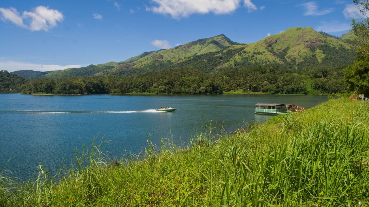 വയനാട്ടില്‍ പോയാല്‍ കണ്ടിരിക്കേണ്ട സ്ഥലങ്ങളിലൊന്നാണ് നീലിമല വ്യൂ പോയിന്റ്. ട്രെക്കിങ്, മനോഹരമായ പ്രകൃതിഭംഗി ആസ്വദിക്കാനും ഇവിടേക്കെത്താം. മീന്‍മുട്ടി വെള്ളച്ചാട്ടവും ഇവിടെ നിന്ന് കാണാനാകുന്നതാണ്. ഇഞ്ചിപ്പാടങ്ങളും കാപ്പിത്തോട്ടങ്ങളുമാണ് ഇവിടുത്തെ പ്രത്യേകത. 

