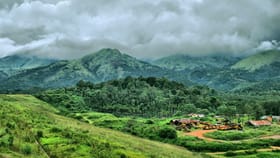 കേരളത്തിന്റെ ഗ്രീന്‍ പാരഡൈസ് കണ്ടിട്ടുണ്ടോ?ഇതുകാണാതെ എങ്ങോട്ട്...