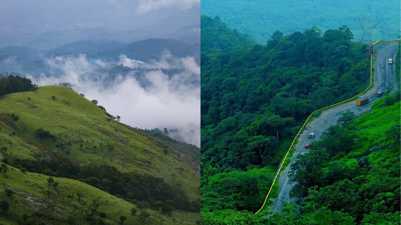 Wayanad Travel: നട്ടുച്ചയ്ക്കും കോടയിറങ്ങുന്ന താഴ്വരകൾ, കൊടുംചൂടിൽ നിന്ന് രക്ഷപ്പെടണോ?; നേരെ ഇങ്ങോട്ട് വിട്ടോ