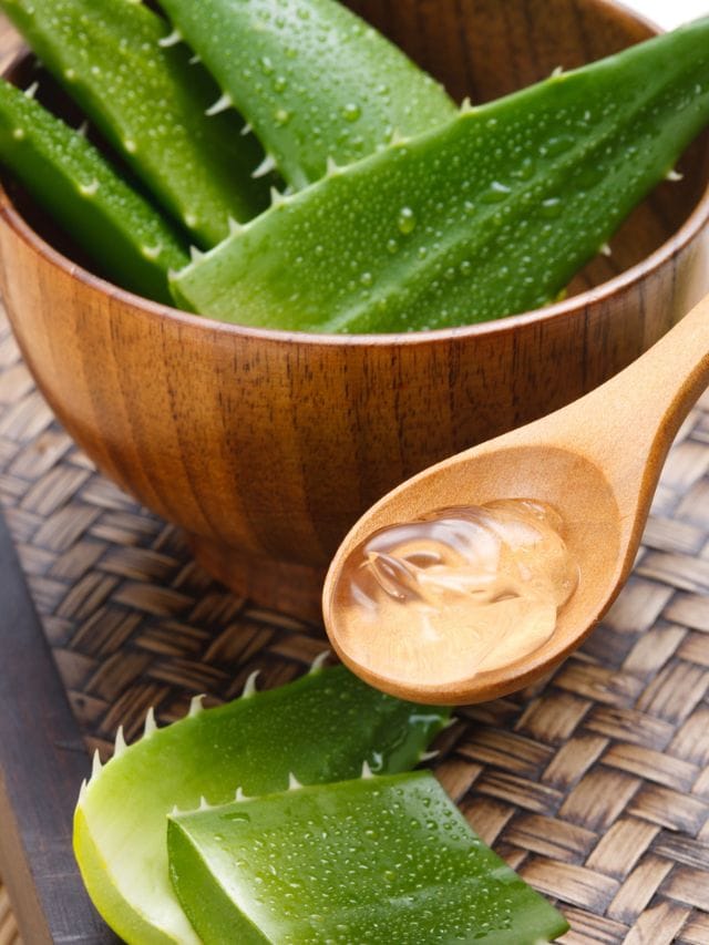 താരൻ പമ്പകടക്കും! കറ്റാർവാഴ ജെൽ ഇങ്ങനെ ഉപയോഗിച്ചാൽ മതി