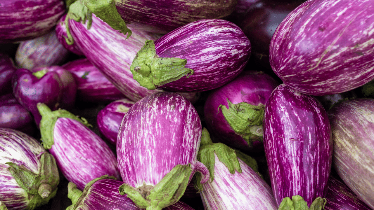 Brinjal: കത്തിരിക്ക ആള് ഹെൽത്തിയാ, പക്ഷേ ഇവർക്ക് പണി കിട്ടും! Brinjal: കത്തിരിക്ക ആള് ഹെൽത്തിയാ, പക്ഷേ ഇവർക്ക് പണി കിട്ടും!