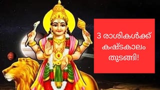 Indoor Plants: വായുവിനെ ശുദ്ധീകരിക്കും, വീടിനുള്ളിൽ ഈ ചെടികൾ വളർത്തൂ