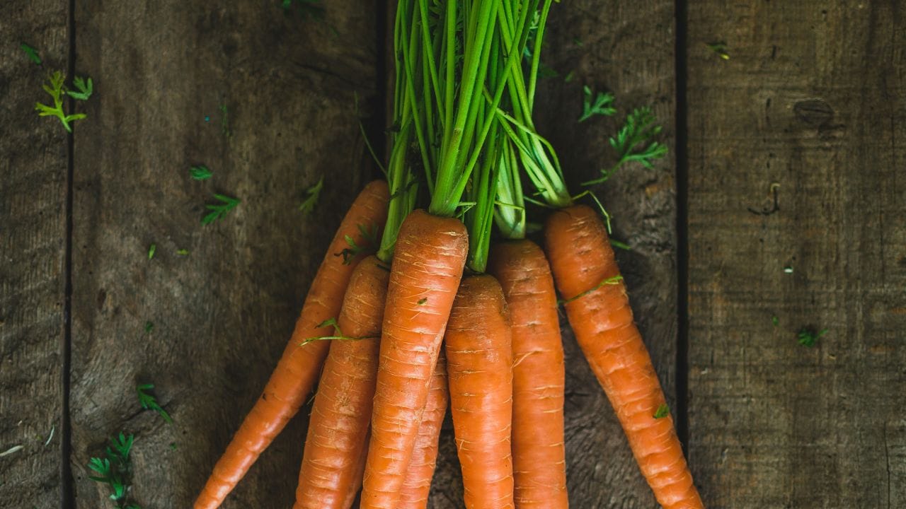 നാരുകൾ, കാൽസ്യം എന്നിവയാൽ സമ്പന്നമാണ് കാരറ്റ് ഇലകൾ. ഇത് ശരീരത്തിലെ ചീത്ത കൊളസ്ട്രോൾ കുറയ്ക്കാനും ദഹനപ്രക്രിയ സുഗമമാക്കി ശരീരഭാരം നിയന്ത്രിക്കാനും സഹായിക്കുന്നു. കരളിലെ കൊഴുപ്പിന്റെയും പിത്തരസത്തിന്റെയും അളവ് കുറയ്ക്കാൻ കാരറ്റ് ഇലകൾക്ക് പ്രത്യേക കഴിവുണ്ട്. ഇത് കരളിന്റെ പ്രവർത്തനം കൂടുതൽ കാര്യക്ഷമമാക്കുന്നു.