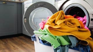 Anti-Venom: പാമ്പിൻ വിഷത്തിന് മരുന്ന് പാമ്പിൻ വിഷം തന്നെ, എങ്ങനെയാണ് ആന്റിവെനം നിർമ്മിക്കുന്നത്?