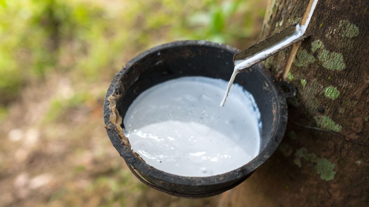 കേരളത്തിൽ റബർ വിലയിൽ വർദ്ധനവുണ്ടായിട്ടപണ്ട്. പ്രതികൂല കാലാവസ്ഥ കാരണം ഉൽപാദനം കുറഞ്ഞതാണ് വില ഉയരാൻ ഇടയാക്കിയത്. നാലാം ഗ്രേഡ് (RSS-4) ക്വിന്റലിന് 23,500 രൂപയും ഒട്ടുപാലിന് കിലോയ്ക്ക് 150 രൂപയുമായിരുന്നു വില. രാജ്യാന്തര വിപണിയിലെ മാറ്റങ്ങൾ ആഭ്യന്തര വിപണിയെയും ബാധിക്കുന്നുണ്ട്.
