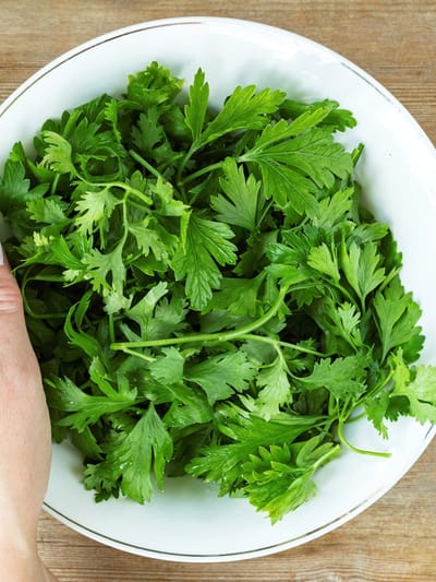 മല്ലിയില ആഴ്ചകളോളം കേടാകില്ല; ഇതാ സിമ്പിള്‍ ട്രിക്കുകള്‍