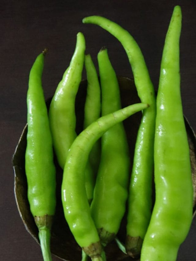 പച്ചമുളക് വാടിപ്പോകുന്നോ? ഈ വിദ്യകൾ പരീക്ഷിക്കൂ