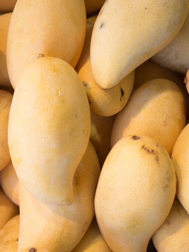 അത്ര നിസ്സാരനല്ല മാങ്ങാണ്ടി, ​ഗുണമേറെയുണ്ട്