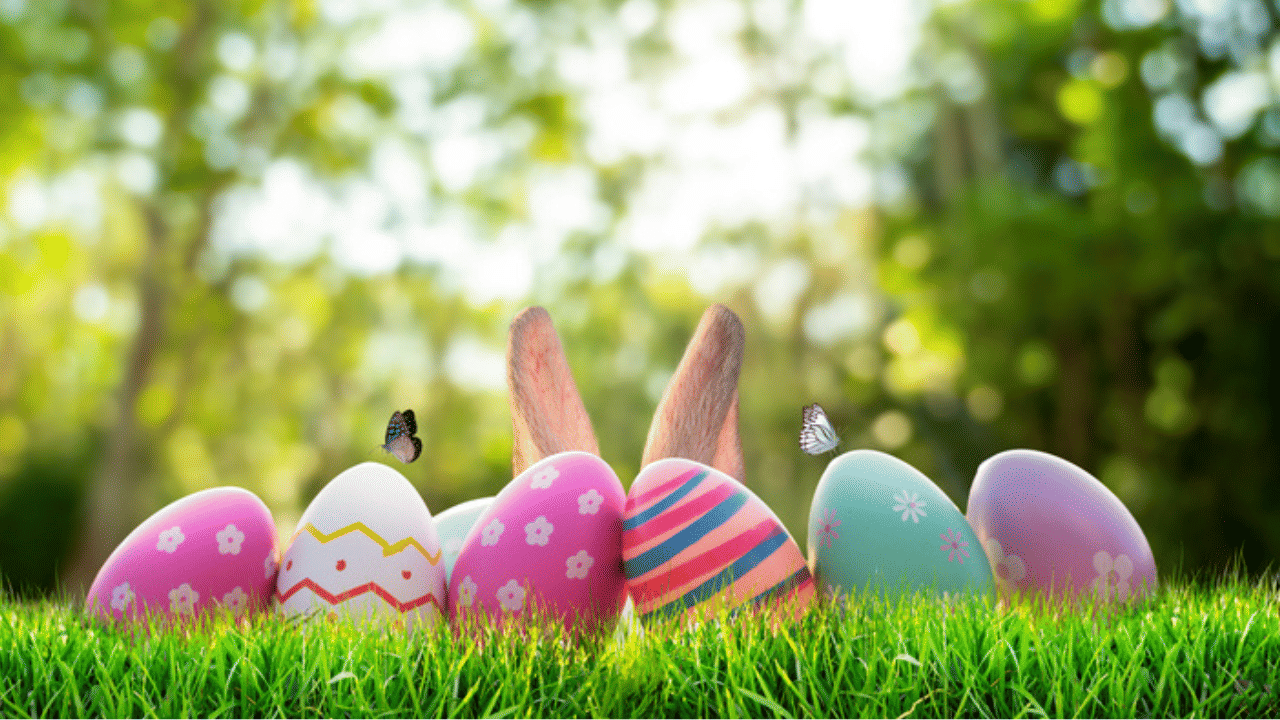 ഈ ഈസ്റ്റർ നിങ്ങളുടെ ജീവിതത്തിൽ പുതിയ പ്രതീക്ഷകളും വലിയ സന്തോഷങ്ങളും നിറയ്ക്കട്ടെ. ചുറ്റുമുള്ളവർക്ക് സ്നേഹം പങ്കുവെക്കാം, പ്രത്യാശയോടെ മുന്നേറാം. ഏവർക്കും സന്തോഷം നിറഞ്ഞ ഈസ്റ്റർ ആശംസകൾ
