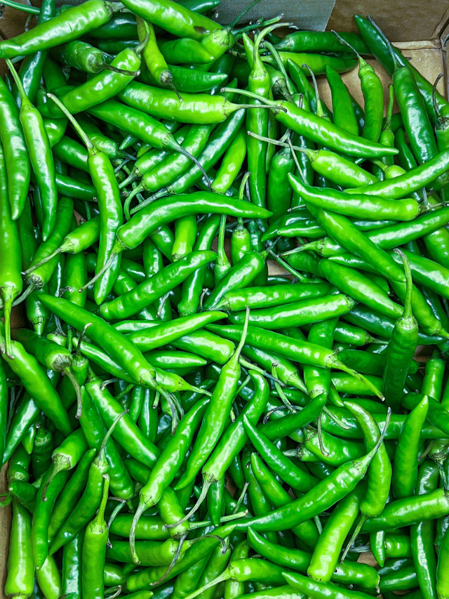 ഫ്രിഡ്ജ് വേണ്ട, പച്ചമുളക് മാസങ്ങളോളം സൂക്ഷിക്കാൻ വഴികൾ ഇതാ