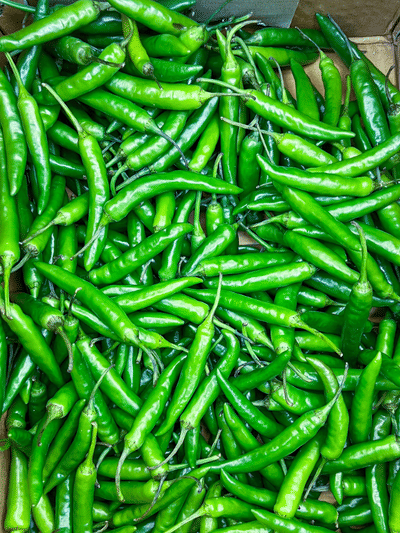 ഫ്രിഡ്ജ് വേണ്ട, പച്ചമുളക് മാസങ്ങളോളം സൂക്ഷിക്കാൻ വഴികൾ ഇതാ