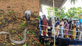 പോളിങ് ഡ്യൂട്ടിയിലുണ്ടായിരുന്ന പോലീസ് ജീപ്പിനുള്ളിൽ പാമ്പ്