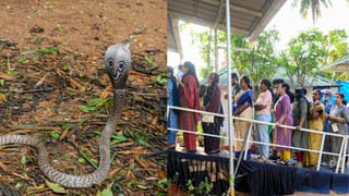 Kerala Assembly Election 2026: ചൂണ്ടുവിരലില്‍ മുറിവ്, തൃശൂരില്‍ യുവതിയുടെ വോട്ടവകാശം നിഷേധിച്ചു