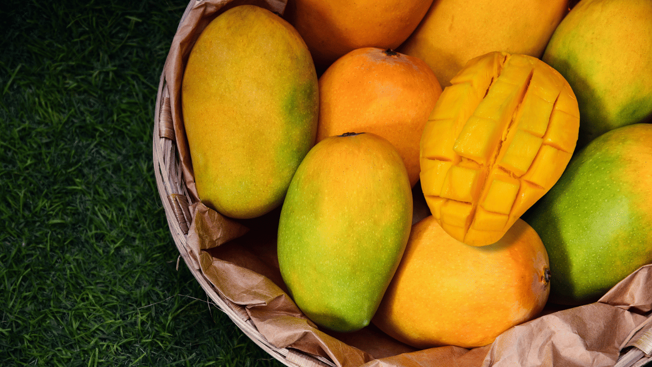 തൊട്ടുനോക്കിയും മാമ്പഴം നല്ലതാണോ എന്ന് തിരിച്ചറിയാൻ സാധിക്കും. സ്വാഭാവികമായി പഴുത്ത മാങ്ങ തൊടുമ്പോൾ മൃദുവായതും ഉറപ്പുള്ളതും ആയിരിക്കും. എന്നാൽ, രാസ വസ്തുക്കള്‍ ഉപയോഗിച്ച് പഴുപ്പിച്ചതാണെങ്കില്‍ ചില ഭാഗങ്ങളില്‍ മാത്രം മൃദുവായും ചില ഭാഗങ്ങളില്‍ കട്ടിയുള്ളതായും അനുഭവപ്പെടും.
