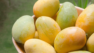 Kochi Metro: കൊച്ചി മെട്രോ കയറി പത്തനംതിട്ടയ്ക്ക് പോകാം; ഞെട്ടേണ്ടാ സത്യമാ