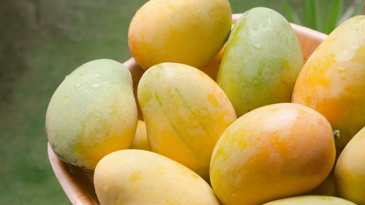 മറ്റൊരു വഴി നിറം നോക്കി തിരിച്ചറിയാമെന്നതാണ്. കൃത്രിമമായി പഴുപ്പിച്ച മാങ്ങകളില്‍ പലപ്പോഴും അവിടിവിടെയായി പച്ചനിറത്തിലുള്ള പാടുകള്‍ ഉണ്ടായിരിക്കും, എന്നാൽ സ്വാഭാവികമായി പഴുത്ത മാങ്ങയാണെങ്കില്‍ എല്ലാ ഭാഗത്തും ഒരു പോലെയുളള നിറമായിരിക്കും.
