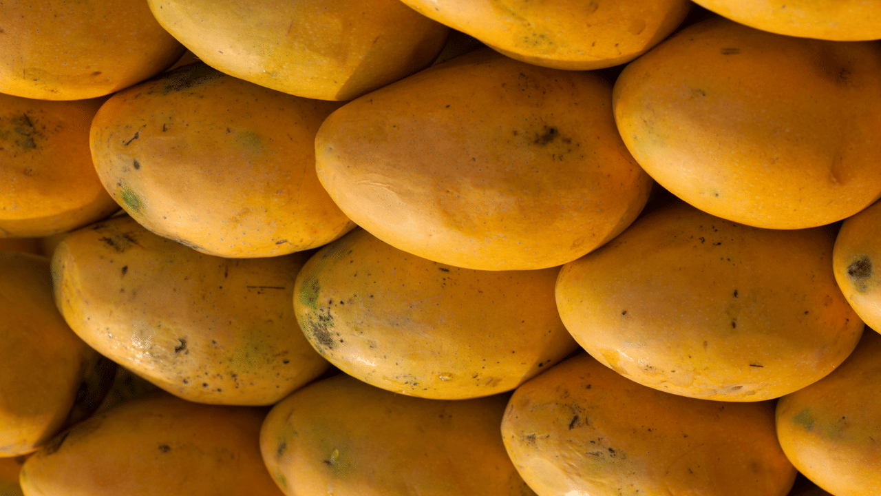 ഒരു പാത്രത്തിൽ വെള്ളമെടുത്ത് അതിലേക്ക് മാങ്ങ ഇടുക. ഇത് വെള്ളത്തിൽ മുങ്ങിപോവുകയാണെങ്കിൽ സ്വാഭാവികമായി പഴുത്തതാണെന്ന് ഉറപ്പിക്കാം. രാസവസ്തുക്കള്‍ ഉപയോഗിച്ച് പഴുപ്പിച്ചതാണെങ്കില്‍ മാങ്ങ വെള്ളത്തില്‍ പൊങ്ങിക്കിടക്കും. സിമ്പിൾ ടെക്നിക് ആണിത്.
