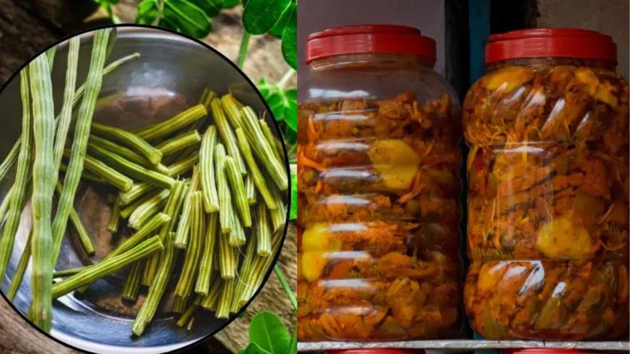 Drumstick Pickle: മുരിങ്ങയ്ക്ക വെച്ചും അച്ചാറോ? വായിൽ കപ്പലോടിക്കും രുചി എളുപ്പത്തിൽ തയ്യാറാക്കാം
