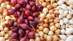 ഉള്ളി പോക്കറ്റിലിട്ടാൽ ചൂട് കുറയുമോ? ശാസ്ത്രം പറയുന്നത്...