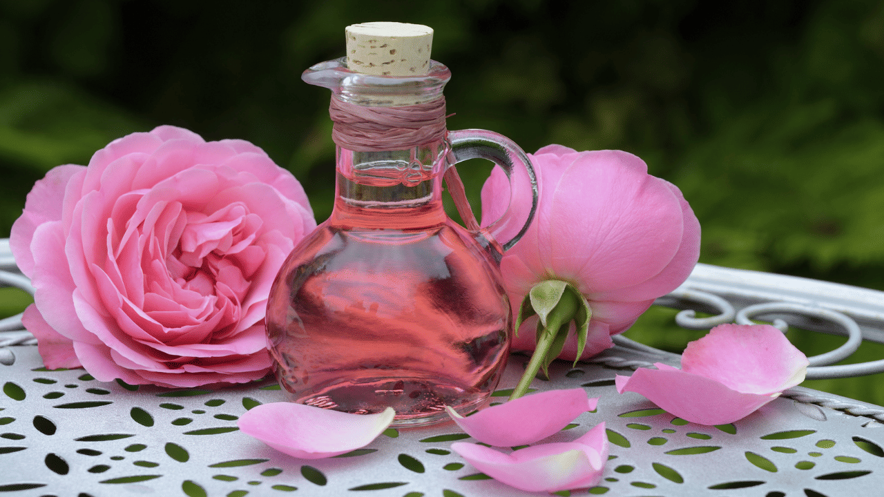 Rose Water: റോസ് വാട്ടർ എടുത്തോളൂ, ചർമ്മകാന്തിക്ക് വേറെ പരീക്ഷണങ്ങളൊന്നും വേണ്ട Rose Water: റോസ് വാട്ടർ എടുത്തോളൂ, ചർമ്മകാന്തിക്ക് വേറെ പരീക്ഷണങ്ങളൊന്നും വേണ്ട
