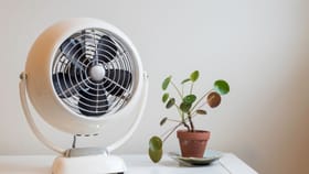 എസിയും കൂളറും വേണ്ട! എത്ര ചൂടിലും വീടിനുള്ളിൽ തണുപ്പ് വേണോ