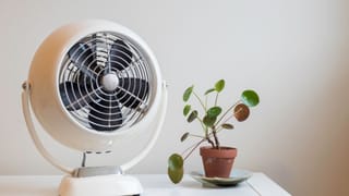 Surya Nakshatra Parivartan 2026: 14 ദിവസം ഇവർക്ക് ദുരിതം! സൂര്യൻ ഭരണി നക്ഷത്രത്തിലേക്ക് പ്രവേശിക്കുന്നു