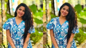 വിശ്വസ്തനെന്ന് കരുതി, പക്ഷേ അയാൾ എന്നെ ചതിച്ചു; അഭിരാമി സുരേഷ്