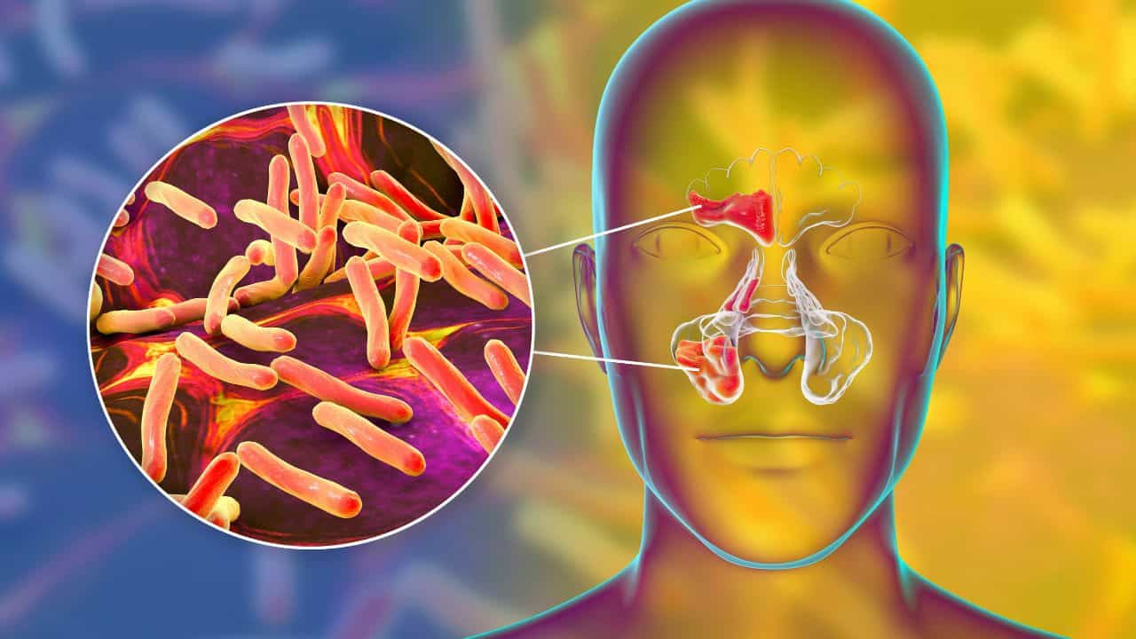Amoebic Meningitis: ആലപ്പുഴയിൽ മാത്രം ഒരാഴ്ചയ്ക്കിടെ 5 പേർക്ക് അമീബിക് മസ്തിഷ്കജ്വരം, പ്രശ്നം വരുന്ന വഴി ഇതാ...