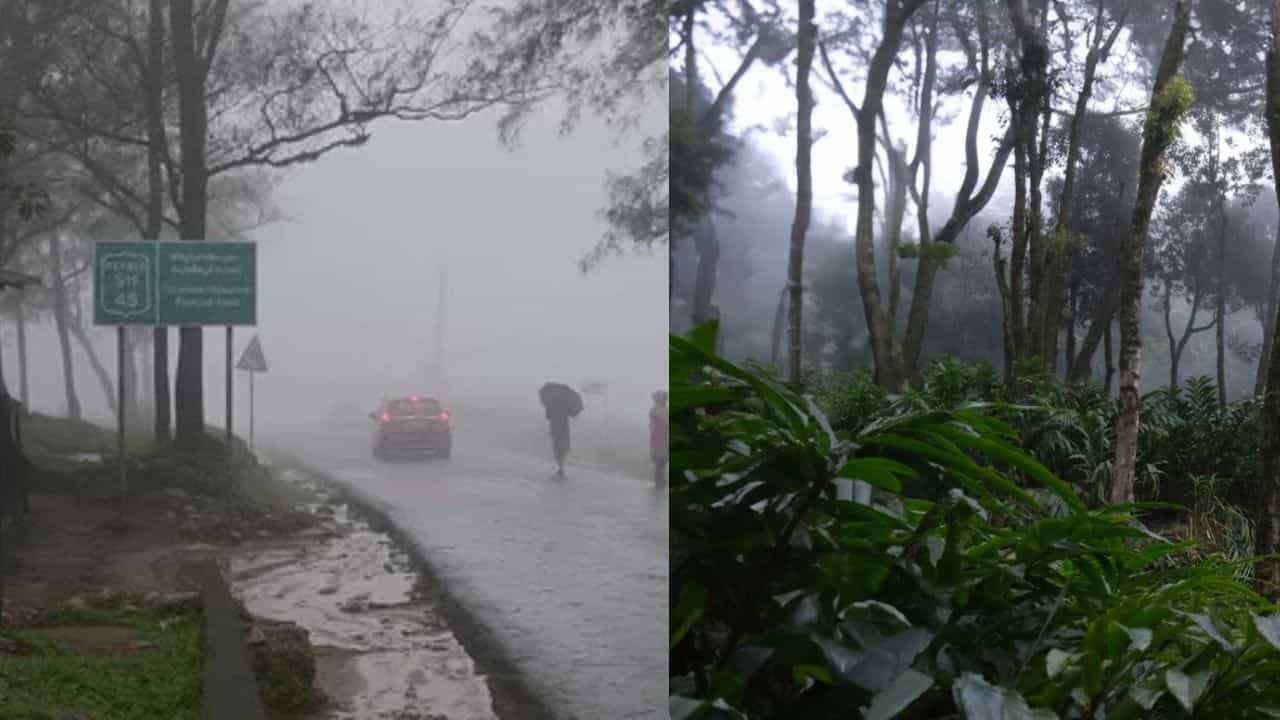 Travel In Rain: പച്ചപ്പും കുന്നിറങ്ങുന്ന വെള്ളച്ചാട്ടങ്ങളും; മഴക്കാല യാത്രകൾക്ക് പറ്റിയ സ്പോട്ടുകൾ ഇതാണേ
