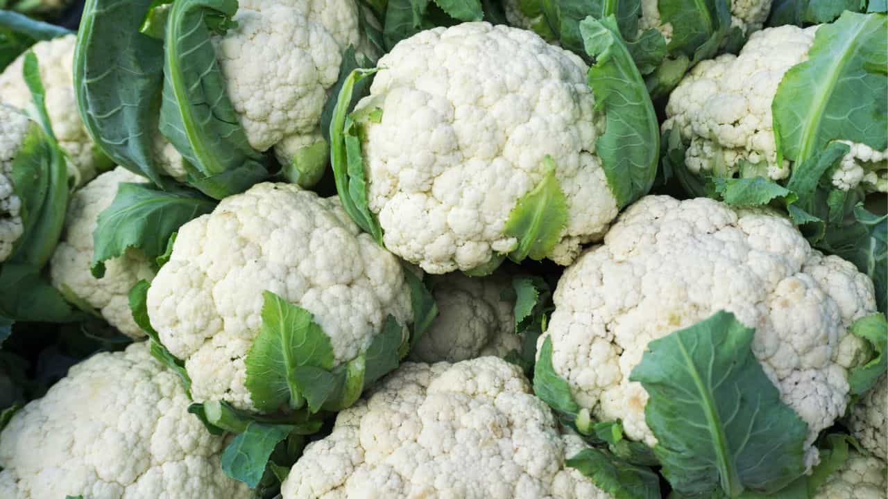 Cauliflower: കോളിഫ്ലവർ കറി വയ്ക്കാൻ വരട്ടെ, ഇതറിയാതെ കഴിച്ചാൽ പണി കിട്ടും