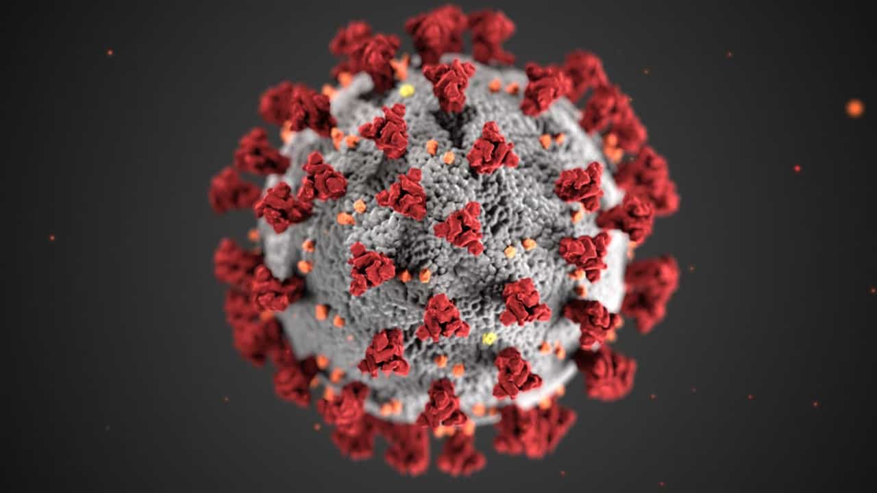 Coronavirus: തായ്‌ലൻഡിൽ പുതിയ കൊറോണ, കപ്പലിൽ ഹന്താവൈറസ്; ജാഗ്രതയോടെ ലോകം