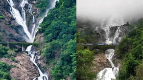പാൽക്കടൽ പോലെ കുത്തിയൊഴുകുന്ന ദൂത്‌സാഗർ; മഴക്കാല യാത്രയിൽ...