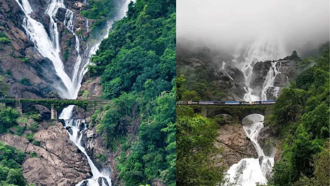 Dudhsagar Waterfalls: പാൽക്കടൽ പോലെ കുത്തിയൊഴുകുന്ന ദൂത്സാഗർ; മഴക്കാല യാത്രയിൽ ഇത് മിസ്സാക്കല്ലേ Dudhsagar Waterfalls: പാൽക്കടൽ പോലെ കുത്തിയൊഴുകുന്ന ദൂത്സാഗർ; മഴക്കാല യാത്രയിൽ ഇത് മിസ്സാക്കല്ലേ
