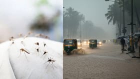 പനിച്ചു വിറച്ച് കേരളം; എലിപ്പനിയും ഡെങ്കിപ്പനിയും പടരുന്നു...