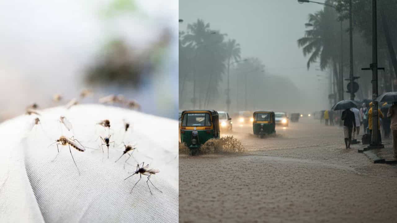 Kerala Fever Spread: പനിച്ചു വിറച്ച് കേരളം; എലിപ്പനിയും ഡെങ്കിപ്പനിയും പടരുന്നു, ജാഗ്രത! Kerala Fever Spread: പനിച്ചു വിറച്ച് കേരളം; എലിപ്പനിയും ഡെങ്കിപ്പനിയും പടരുന്നു, ജാഗ്രത!