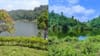 മഴയത്ത് ഗവി കാണാൻ പോയാലോ?; ഇപ്പോൾ പോയാൽ കാണാം ഈ കാഴ്ച്ചകൾ...
