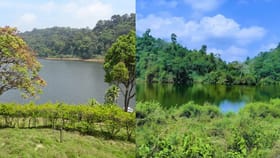 മഴയത്ത് ഗവി കാണാൻ പോയാലോ?; ഇപ്പോൾ പോയാൽ കാണാം ഈ കാഴ്ച്ചകൾ
