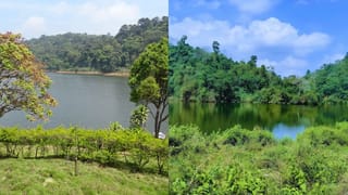 Goa Bubble Lake: കൈയടിച്ചാൽ കുമിളകൾ പൊന്തിവരും!; ഗോവയിലെ ഈ അത്ഭുത തടാകം കണ്ടിട്ടുണ്ടോ?
